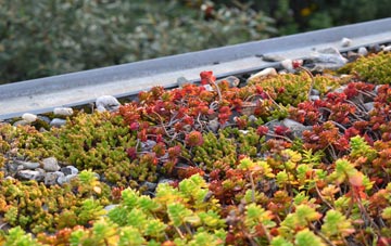 the cost of Westry green roof installation