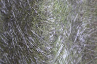 Westry fibreglass roof work